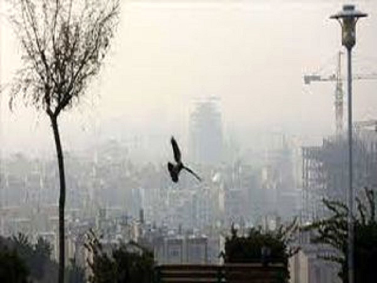 خنجر آلودگی هوا به قلب محیط‌زیست
