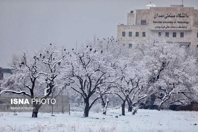 سرمای شدید در راه ایران! منتظرکاهش دما و برف از این تاریخ باشید + نقشه