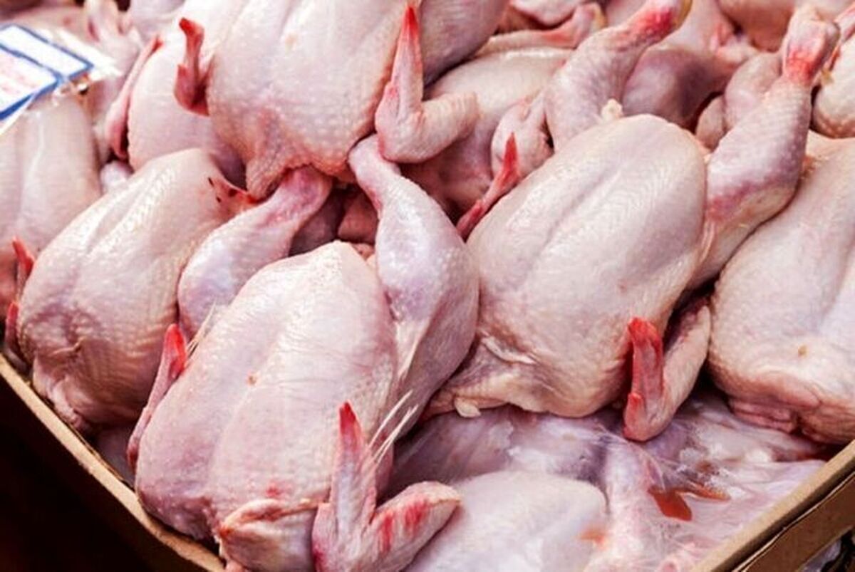 قیمت مرغ در بازار امروز ۷ اسفند ۱۴۰۲