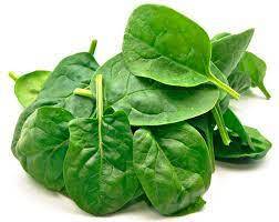 این «سبزی» بهترین منبع آهن و فولیک اسید است