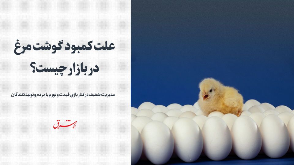 علت کمبود گوشت مرغ در بازار چیست؟