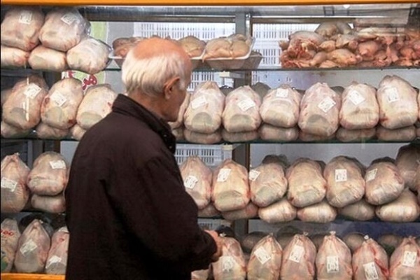 اطلاعیه سازمان دامپزشکی در خصوص سلامت مرغ‌های موجود در بازار