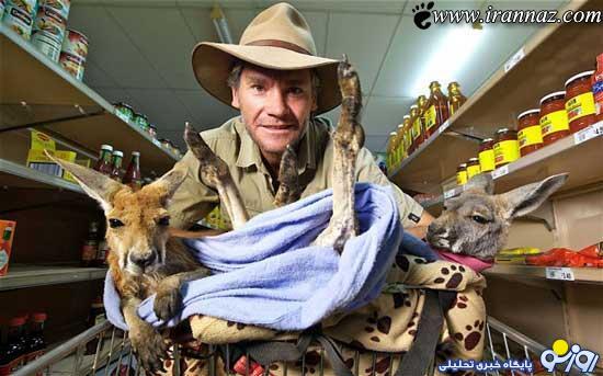 عشق باورنکردنی 2 هزار زن برای ازدواج با این مرد/ عکس