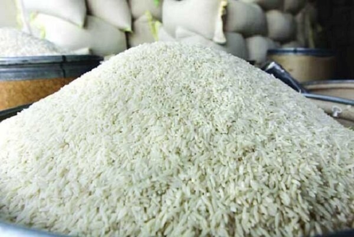 قیمت جدید برنج شمال اعلام شد + جدول