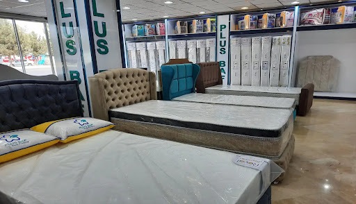 فروش قسطی تشک رواج یافت/ تشکهای 173 میلیونی در فروشگاههای اینترنتی فروش قسطی تشک رواج یافت/ تشکهای 173 میلیونی در فروشگاههای اینترنتی