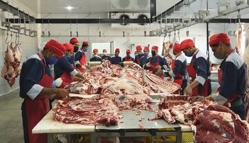 آمار درباره‌ی گوشت/ عرضه‌ی گوشت قرمز چقدر کاهش داشت؟
