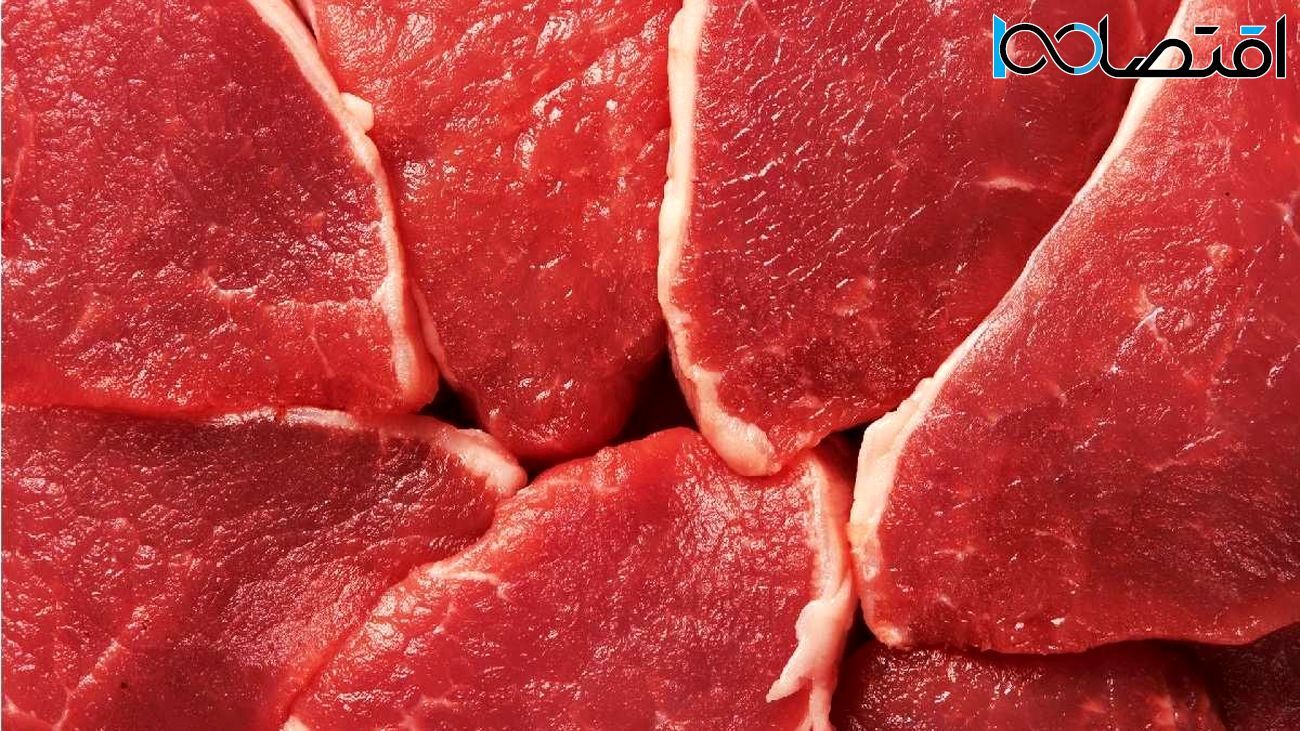 قیمت گوشت ۳۰ هزار تومان گران شد! / واردات گوشت ادامه دارد؟