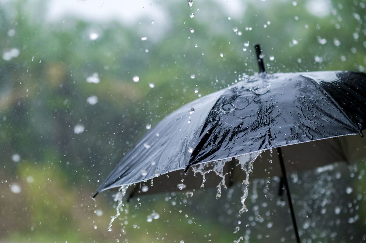 پیش‌بینی وضعیت هوا طی روز‌های پایانی هفته/ این استان‌ها بیشترین بارش‌ها را خواهند داشت