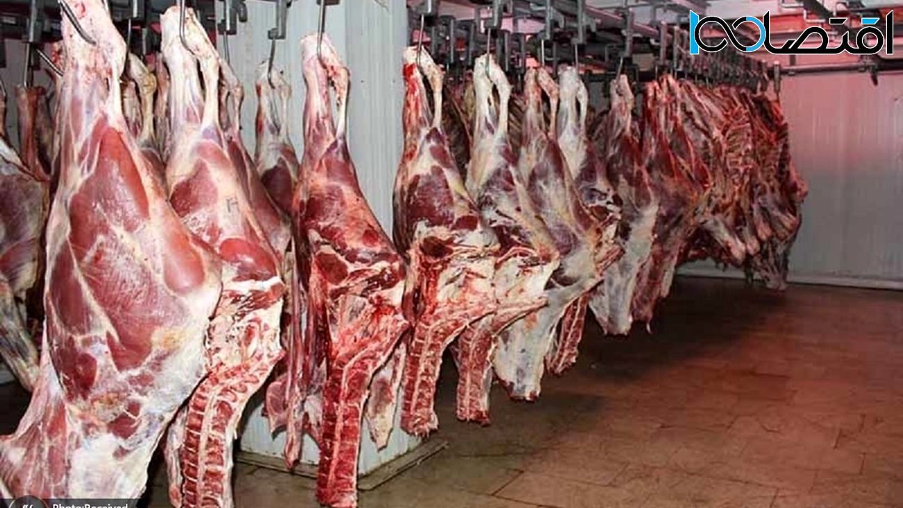 ارزانی مشکوک قیمت گوشت گوسفند و گوساله در بازار