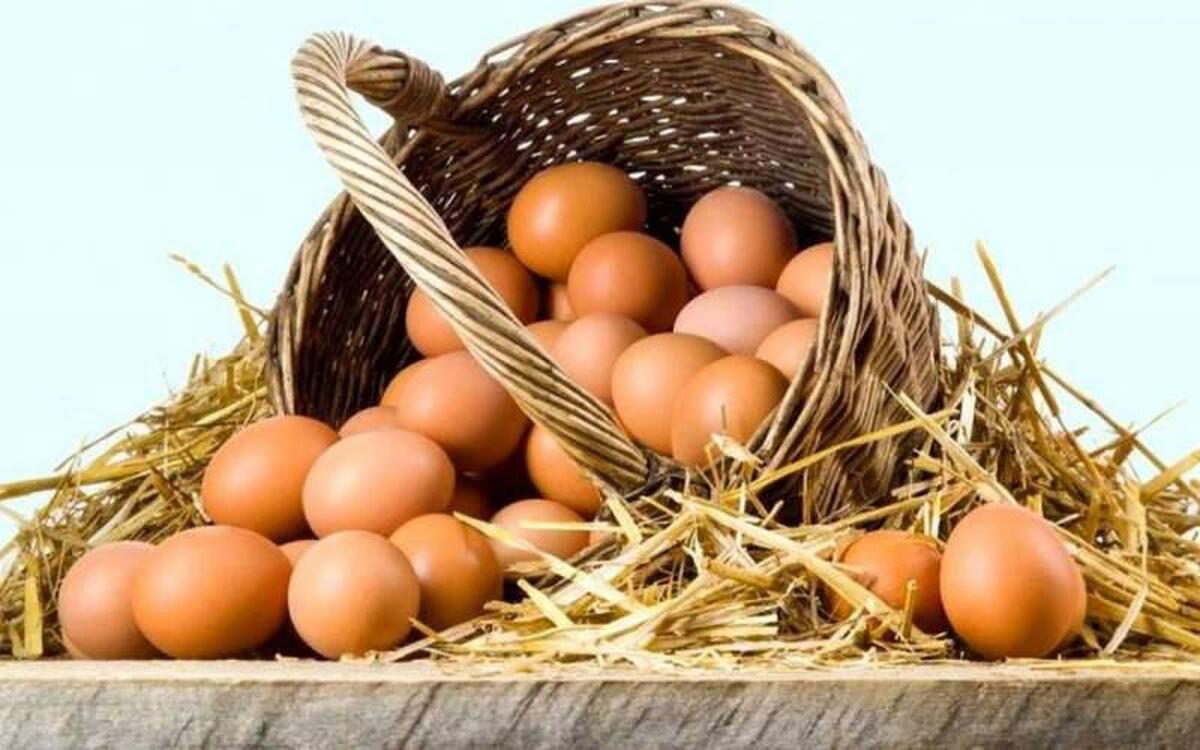 (تصاویر) وقتی تخم‌مرغ کیلویی ۶ تومان هم در تهران گیر نمی‌آمد