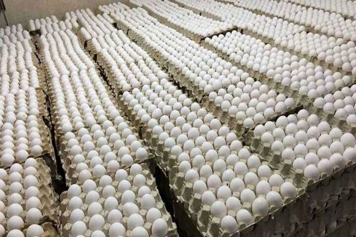 تخم‌مرغ ۱۱۰ هزار تومان شد