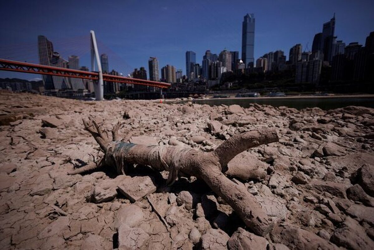 خشکسالی دومین فاجعه بعد از سیل/تا سال ۲۰۵۰، بیش از ۲۰۰ میلیون نفر مجبور به مهاجرت می‌شوند
