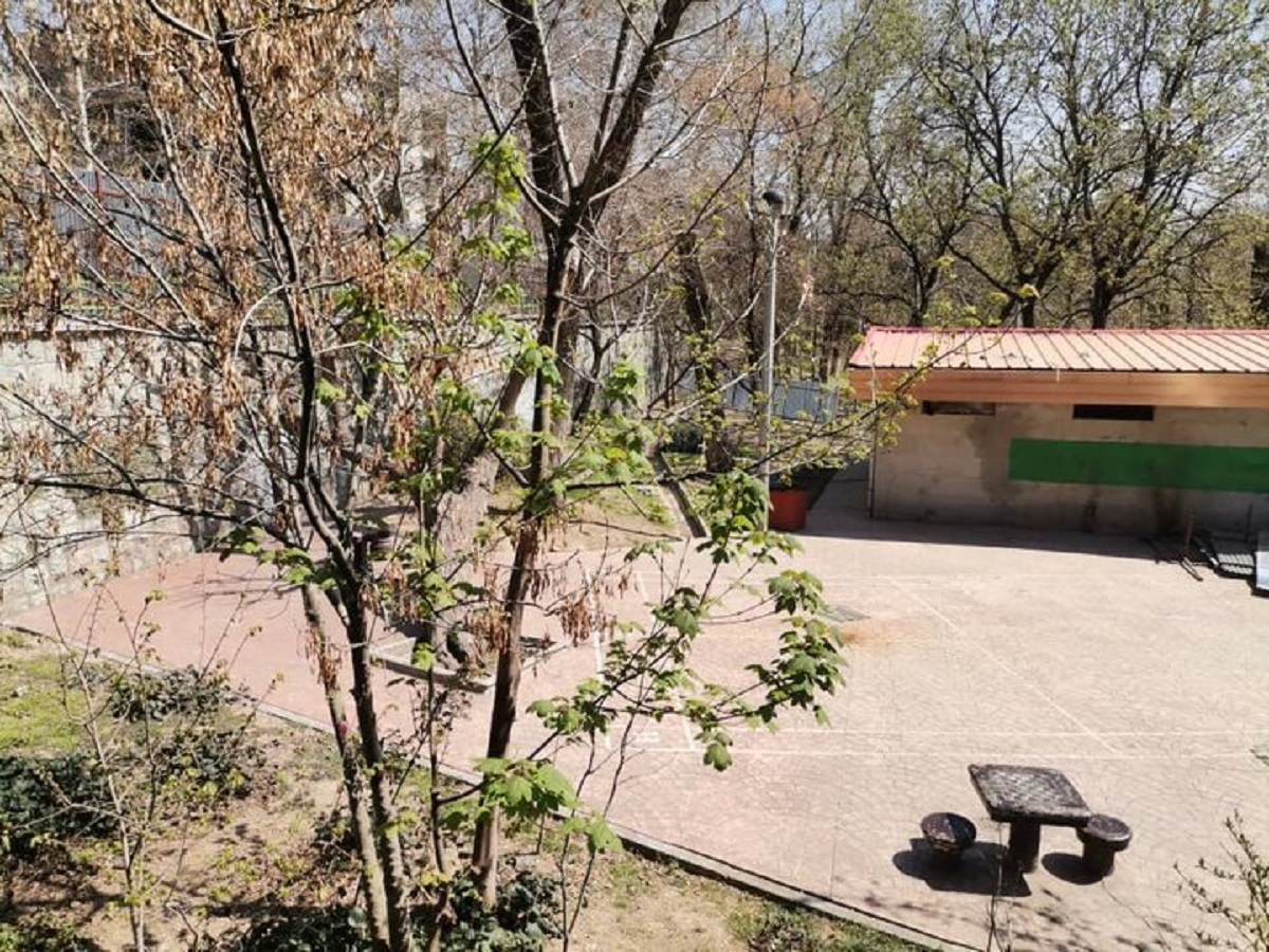 توقف عملیات ساخت مسجد در پارک قیطریه تهران / میراث فرهنگی: در آن محوطه باستانی ۳۵۰ گور کشف شده؛ هنوز آثار زیادی آنجا هست که باید کاوش شود