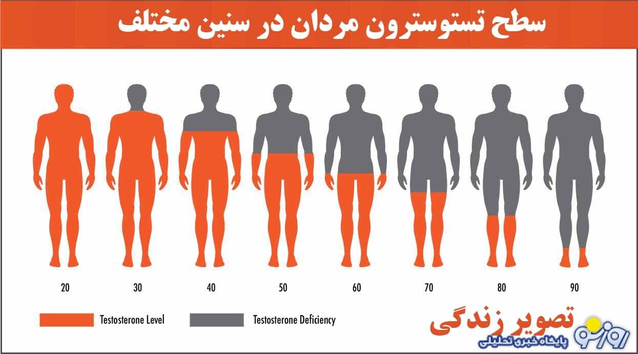 راه‌های افزایش تستوسترون چیست؟