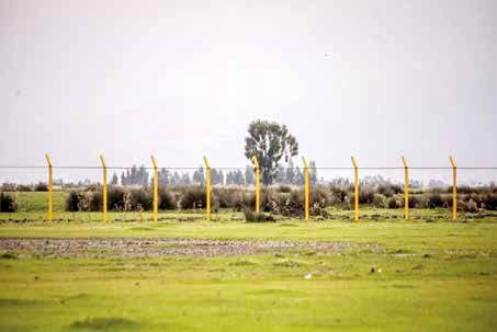 مطالبه برای بازپسگیری زمین «پتروشیمی میانکاله» مطالبه برای بازپسگیری زمین «پتروشیمی میانکاله»