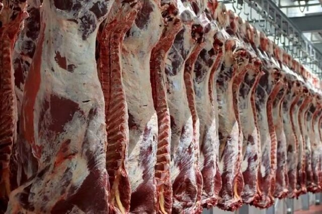 کشف محموله بزرگ گوشت فاسد در غرب تهران