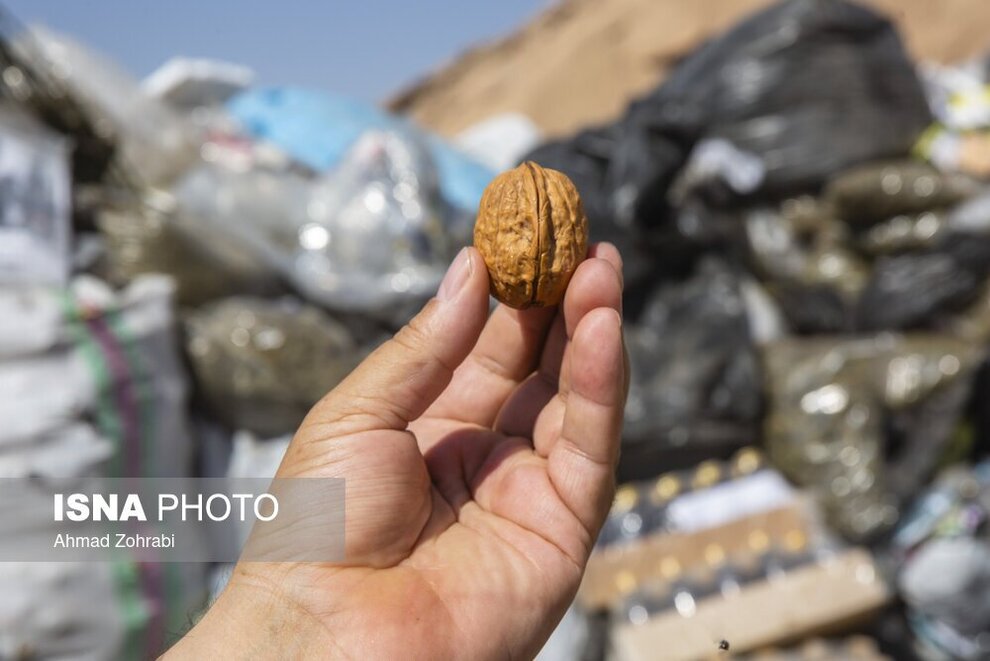 تصاویری از عجیب‌ترین نوع جاسازیِ مواد مخدر