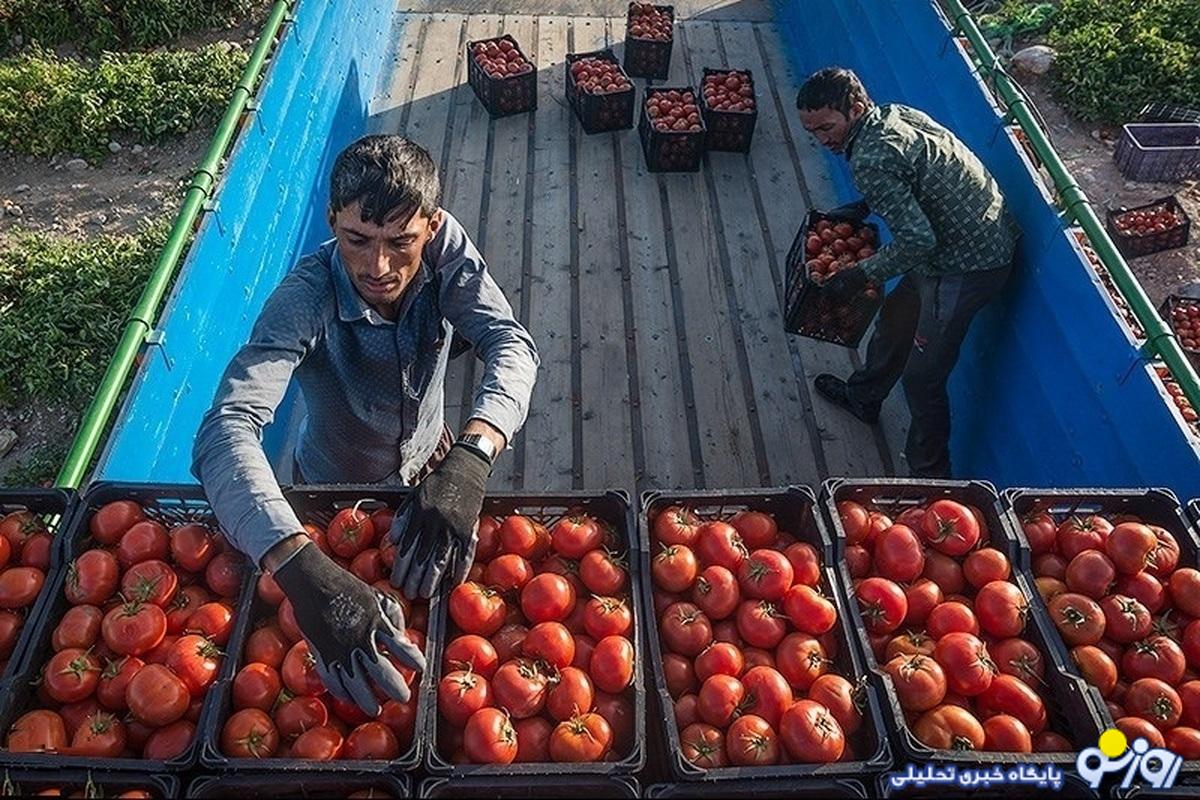 بلوای خیار و گوجه‌فرنگی در بازار!