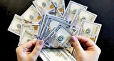 قیمت جدید دلار و سایر ارزها امروز ۳۱ فروردین ۱۴۰۴