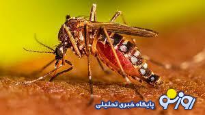 جنوب کشور در اختیار تب دنگی! جنوب کشور در اختیار تب دنگی!