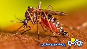 جنوب کشور در اختیار تب دنگی!