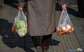 پای مرغ جای گوشت و مرغ را گرفت!