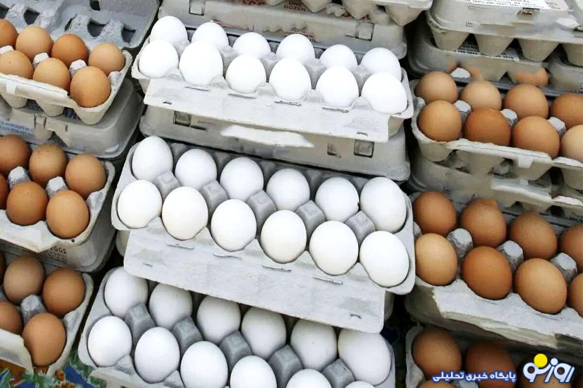 قیمت جدید هر شانه تخم مرغ چند؟ قیمت جدید هر شانه تخم مرغ چند؟