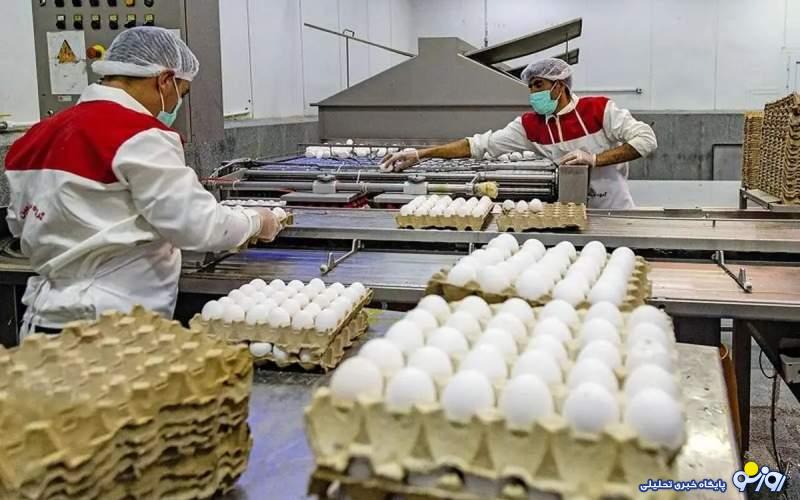 قیمت مرغ و برنج کاهش یافت قیمت مرغ و برنج کاهش یافت