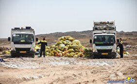 مدیران شهرداری که با پسماند اختلاس کردند!