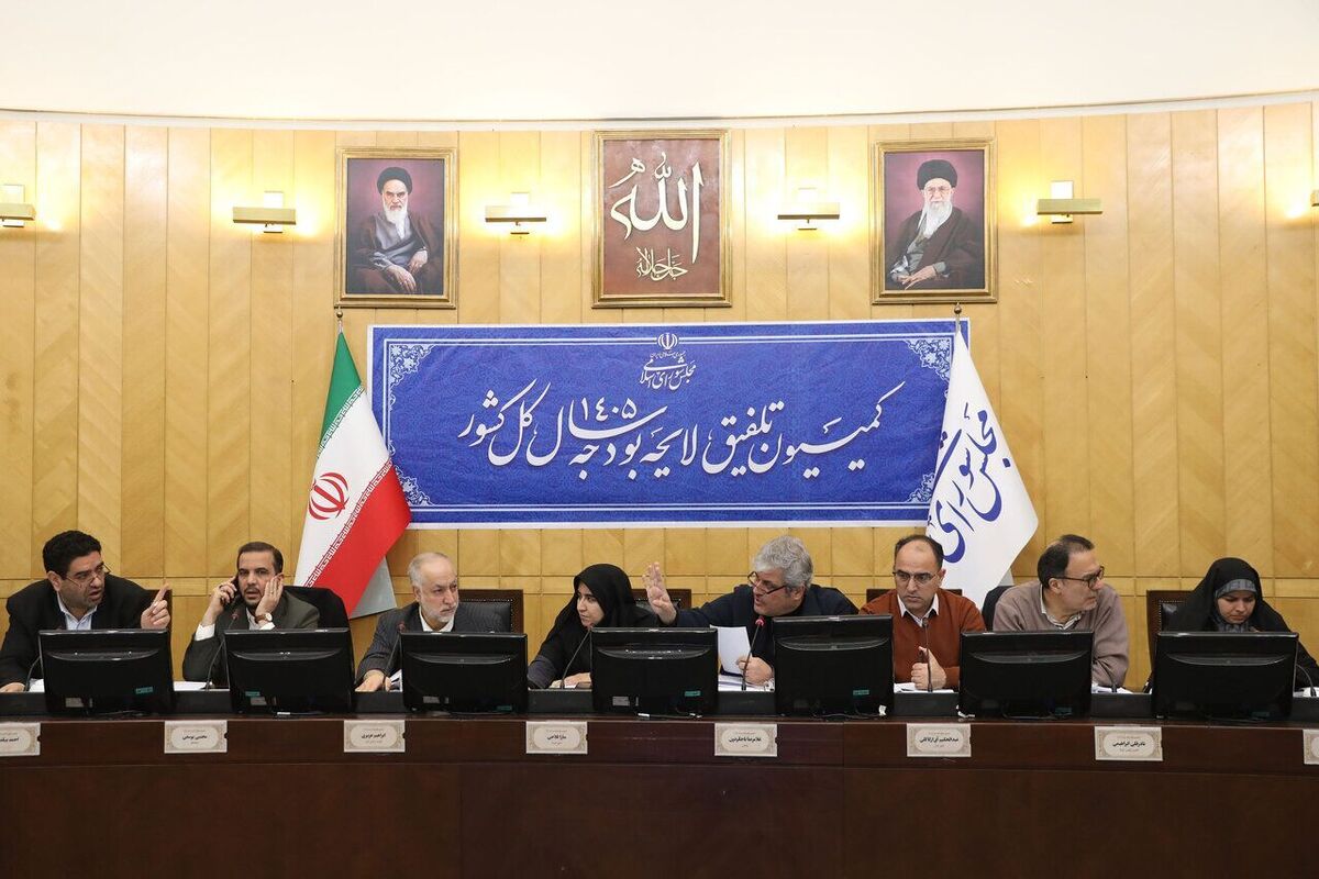 افزایش ۵۰ درصدی مستمری کمیته امداد و بهزیستی در لایحه بودجه افزایش ۵۰ درصدی مستمری کمیته امداد و بهزیستی در لایحه بودجه