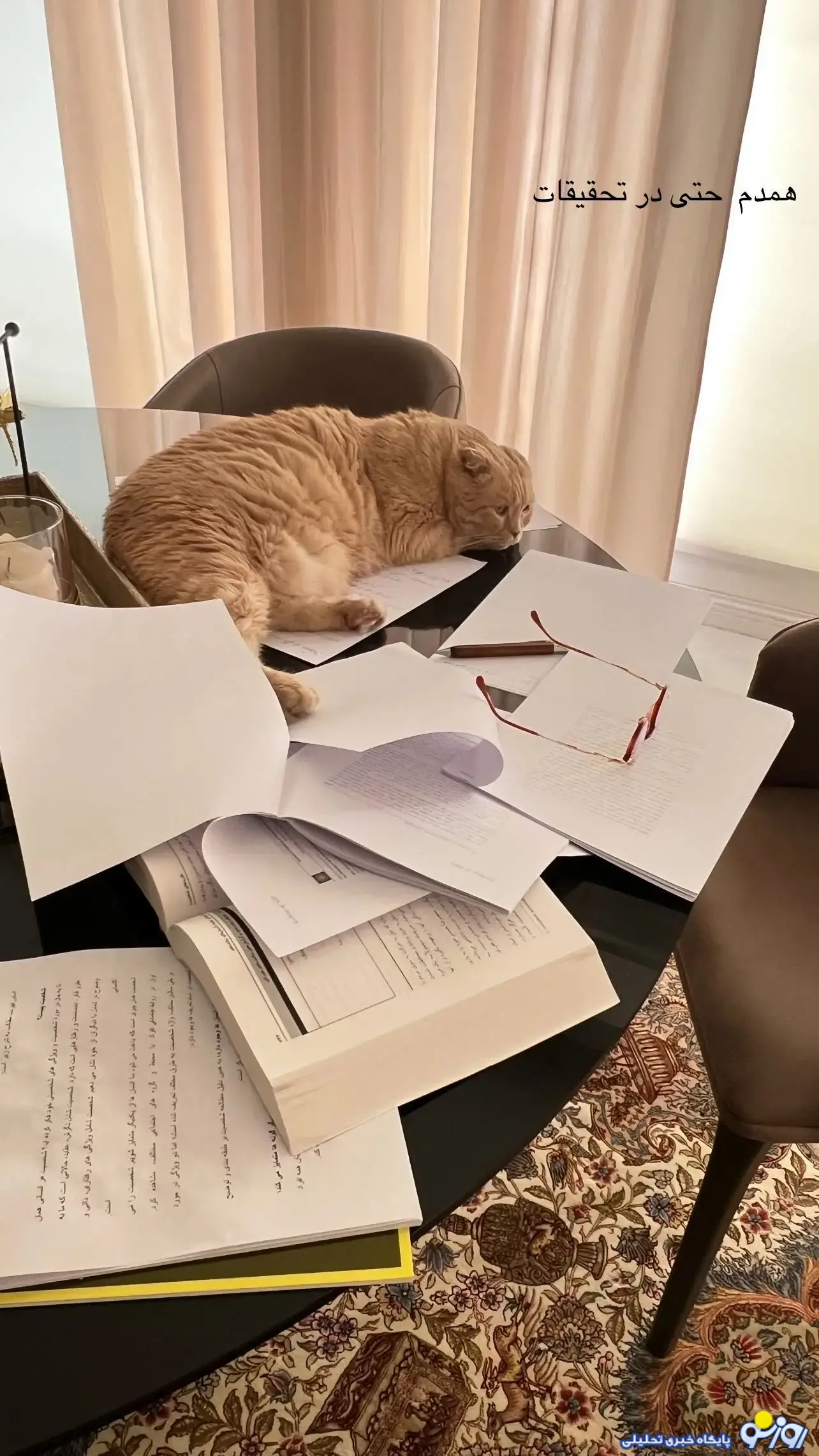 استوری بهنوش طباطبایی به همراه همدمش!