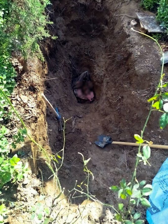 کشف راز قتل مرد مفقود تهران؛ ماجرا چه بود؟ +عکس کشف راز قتل مرد مفقود تهران