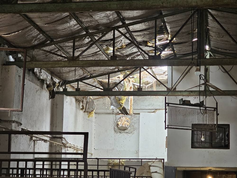 عکس| تخریب بخش‌هایی از فدراسیون های ووشو، تیراندازی، چوگان و تیر و کمان/ آسیب به مجموعه تاریخی فرح آباد