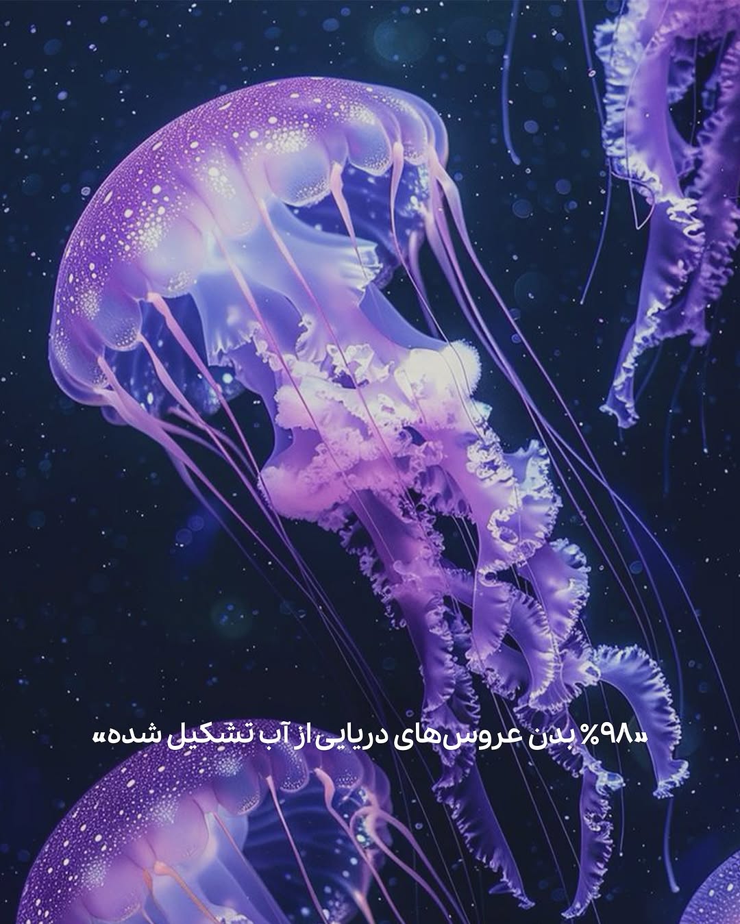 photo_2025-05-14_08-46-31 (7)