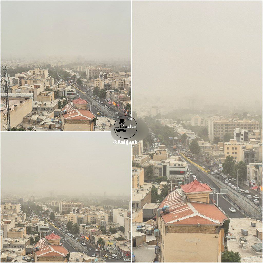 photo_5850313170680399112_y