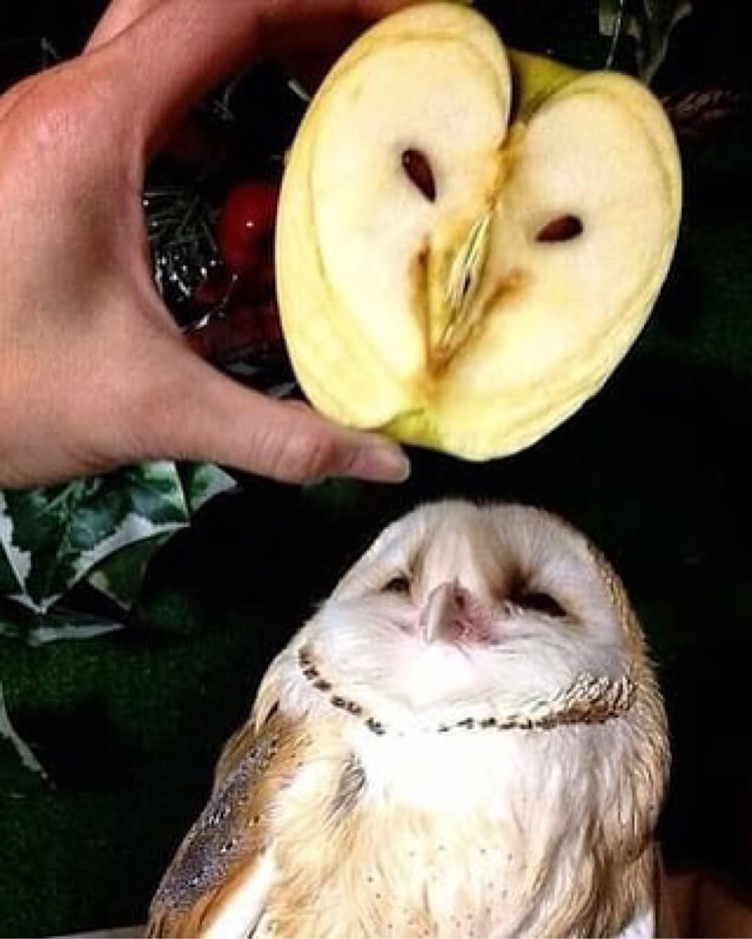 photo_2025-05-17_09-53-59 (3)