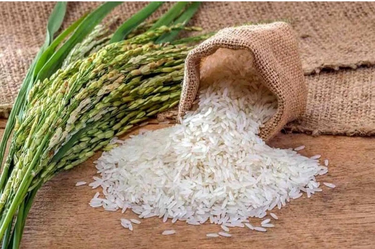 قیمت برنج پاکستانی امروز ۲۹ اردیبهشت ۱۴۰۴/ گران‌ترین و ارزان‌ترین برنج پاکستانی کدامند؟ + جدول