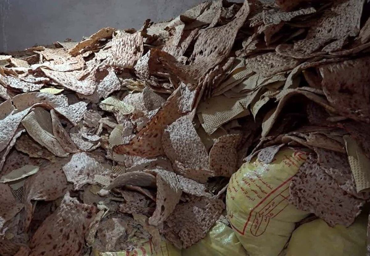 نان، ارز، بازار سیاه/ قیمت‌گذاری دستوری چگونه روزگار بازارها را سیاه کرد؟