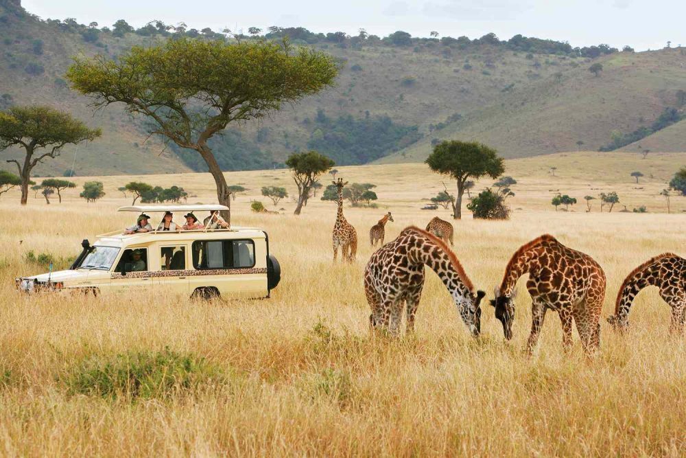 safari-truck-giraffes-micato-safaris-SAFARIGUIDETIPS0721-2549bb165aa34dc193cb8b6f3958654b-e1694024338105