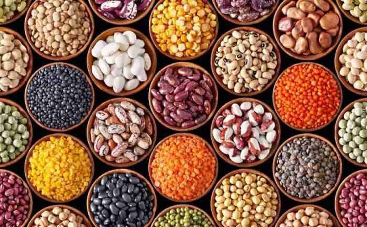 قیمت انواع حبوبات امروز دوشنبه ۸ اردیبهشت ۱۴۰۴