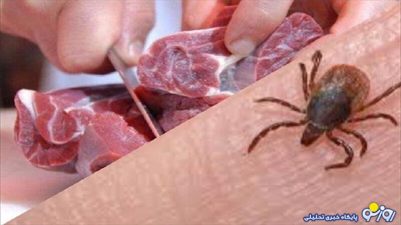 راههای انتقال تب کریمهکنگو راههای انتقال تب کریمهکنگو