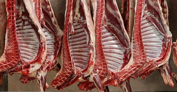 پرداخت یارانه به دامداران داخلی از تخصیص ارز به گوشت وارداتی بهتر نیست؟/ کیفیت گوشت دام ایرانی بالاتر از گوشت پاکستانی و قزاقستانی است پرداخت یارانه به دامداران داخلی از تخصیص ارز به گوشت وارداتی بهتر نیست؟/ کیفیت گوشت دام ایرانی بالاتر از گوشت پاکستانی و قزاقستانی است