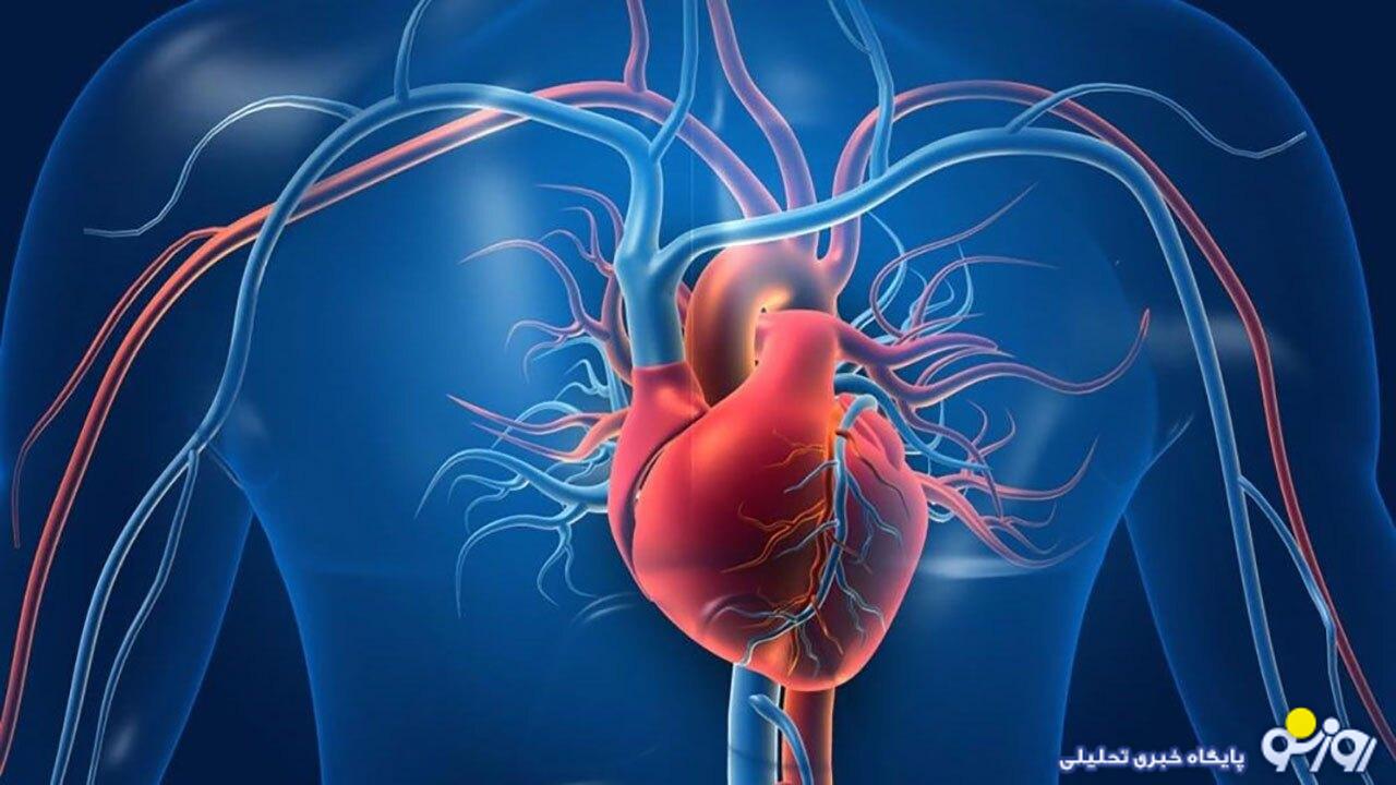 برای داشتن قلب سالم چه کارهایی باید کرد؟ برای داشتن قلب سالم چه کارهایی باید کرد؟