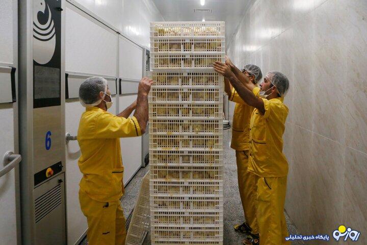 گرانی کالاهای اساسی در راه است؟ گرانی کالاهای اساسی در راه است؟