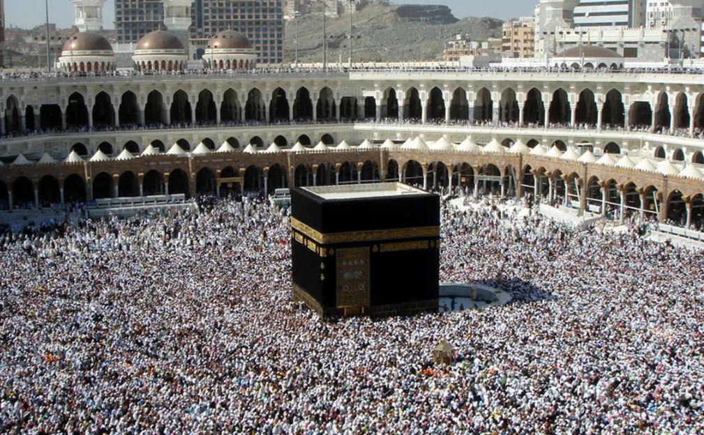 photo_2025-06-11_00-57-20