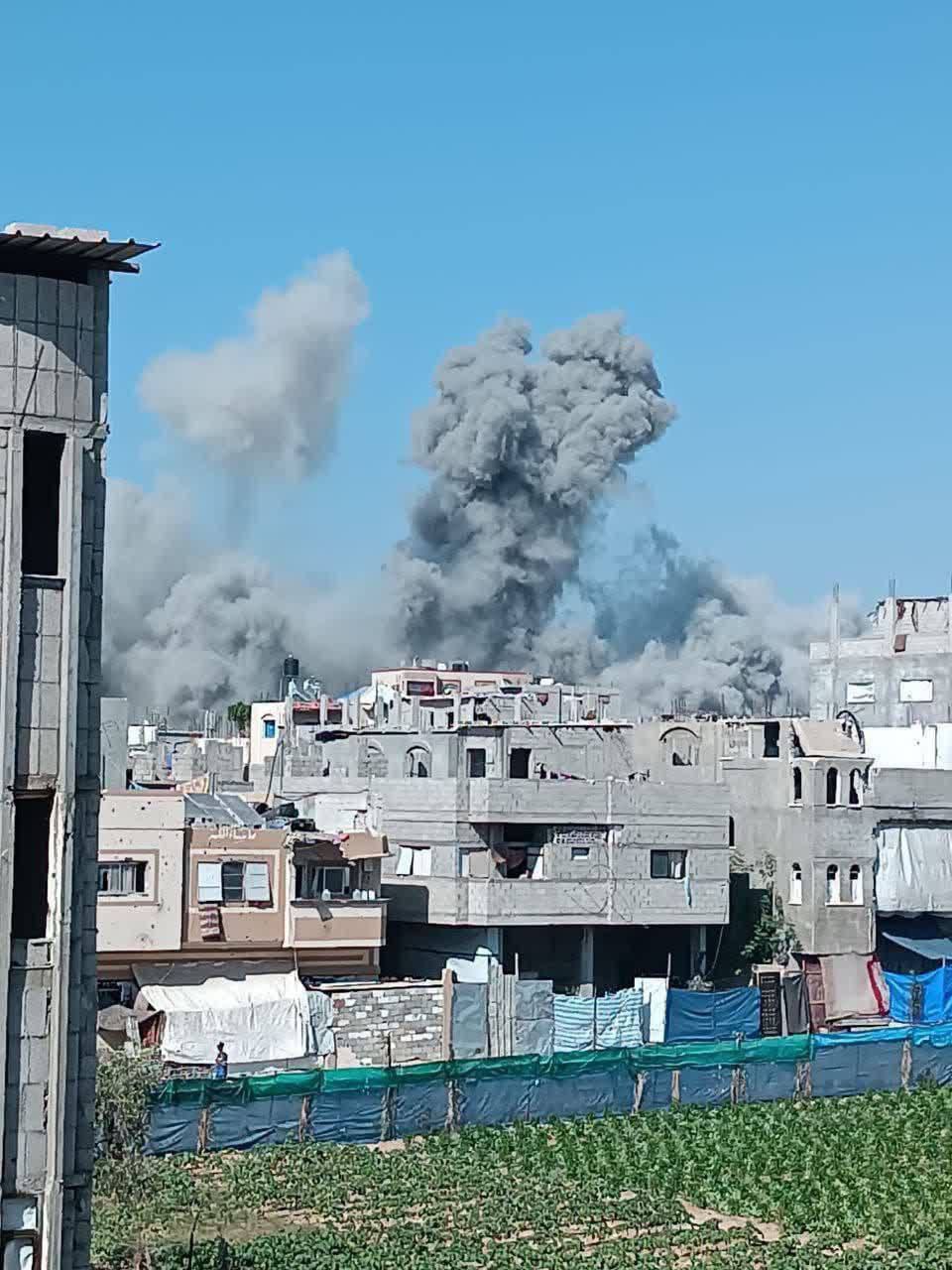 photo_2025-06-15_18-50-44