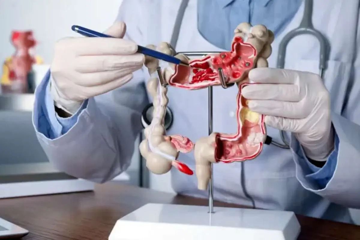 photo_2025-05-28_00-54-06