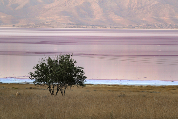 08c11dd0-3273-4c63-9407-4c242a4f3d4d