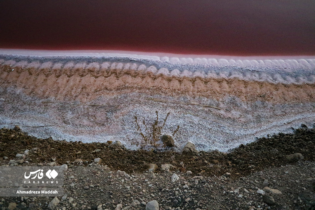 0721dc5e-1a27-46da-a7c6-013abd7c87dc