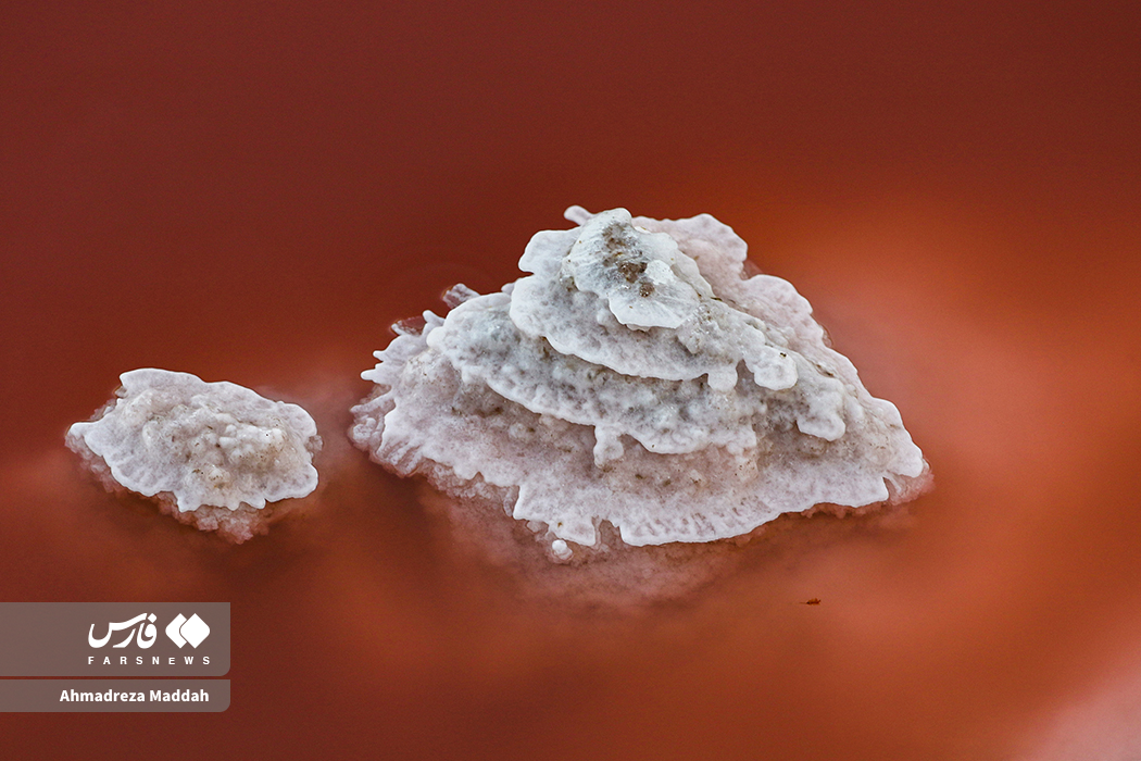 871e6317-8ded-45b0-b6e9-9b3ea5327eb4